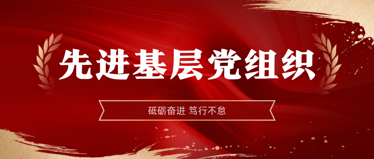 弘扬模范精神 | 尊龙凯时2024-2025年度先进下层党组织